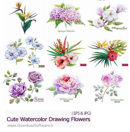 دانلود تصاویر وکتور نقاشی آبرنگی گل های زیبا - Cute Watercolor Drawing Flowers
