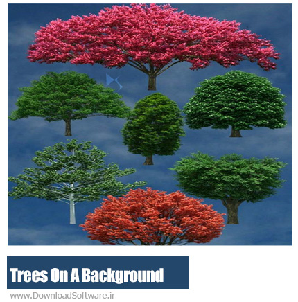دانلود تصویر کلیپ آرت درختان متنوع در پس زمینه شفاف - Trees On A Transparent Background