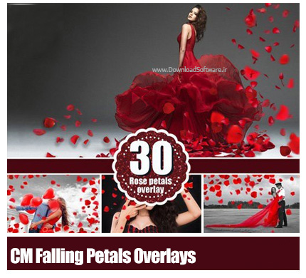 دانلود تصاویر کلیپ آرت فتوشاپ گلبرگ های قرمز پراکنده مناسب برای عکاسان - CM Falling Petals Photoshop Overlays