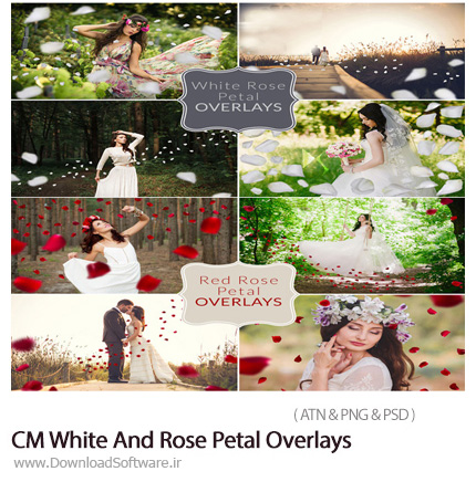 دانلود اکشن فتوشاپ ایجاد گلبرگ رز قرمز و سفید بر روی تصاویر - CM White And Rose Petal Overlays