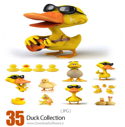 دانلود تصاویر با کیفیت اردک، اردک عروسکی، اردک کارتونی - Duck Collection