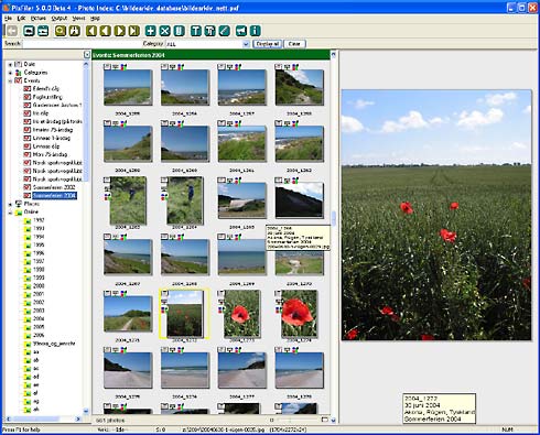 BR Software PixFiler