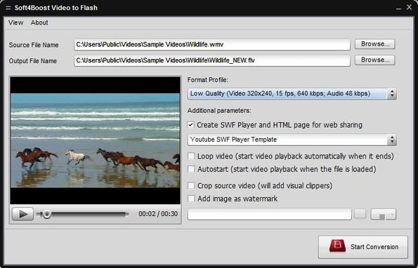 Soft4Boost Video to Flash screenshot