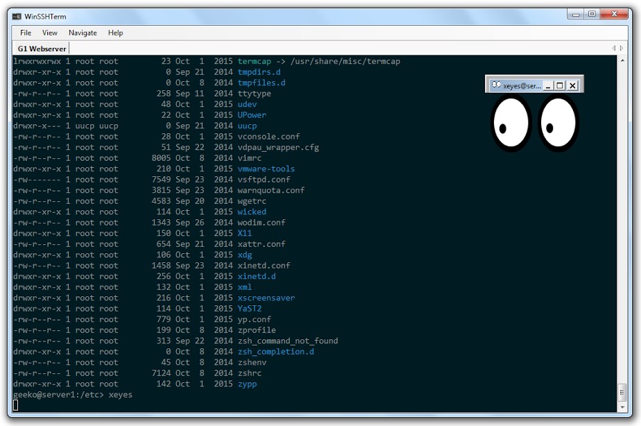 WinSSHTerm Screenshot