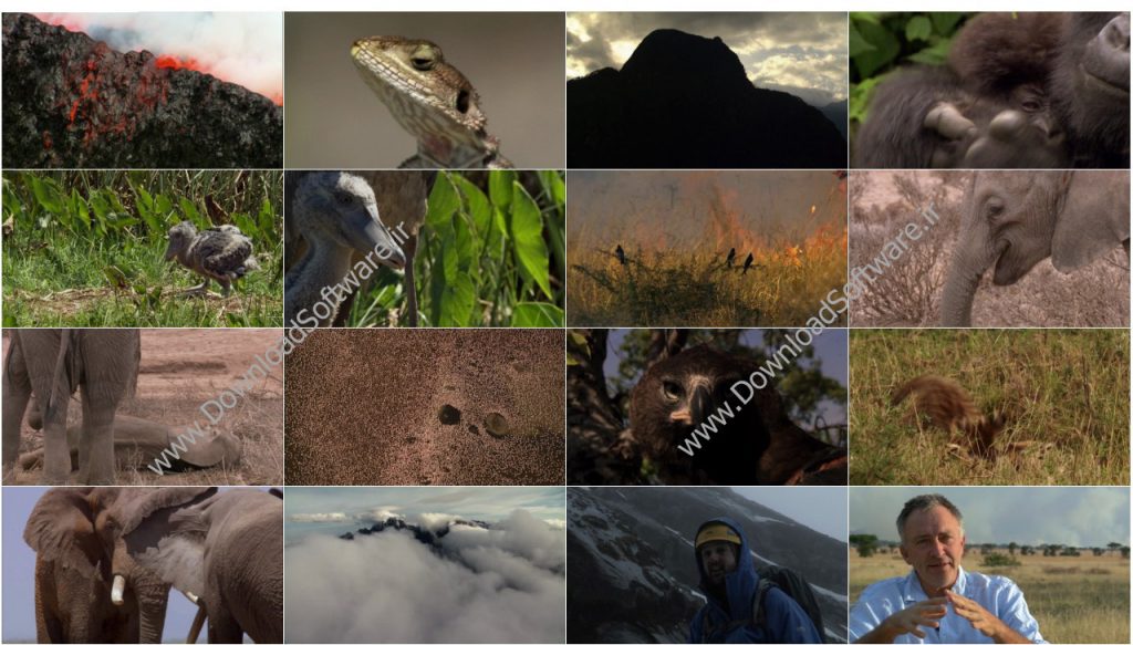 bbc-africa-2013-e02-savana