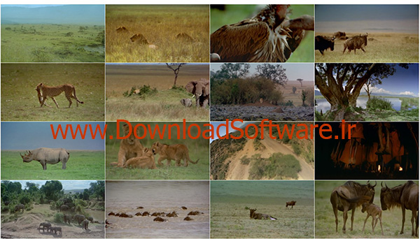 africa-the-serengeti-1994-screenshot