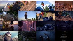 دانلود انیمیشن مانو پرستوی چابک Manou the Swift 2019