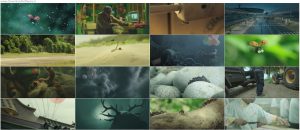 دانلود انیمیشن زندگی حشرات Minuscule 2: Mandibles From Far Away 2018